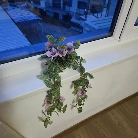 Blue Bay Seaview Kunterbunt * Поморие